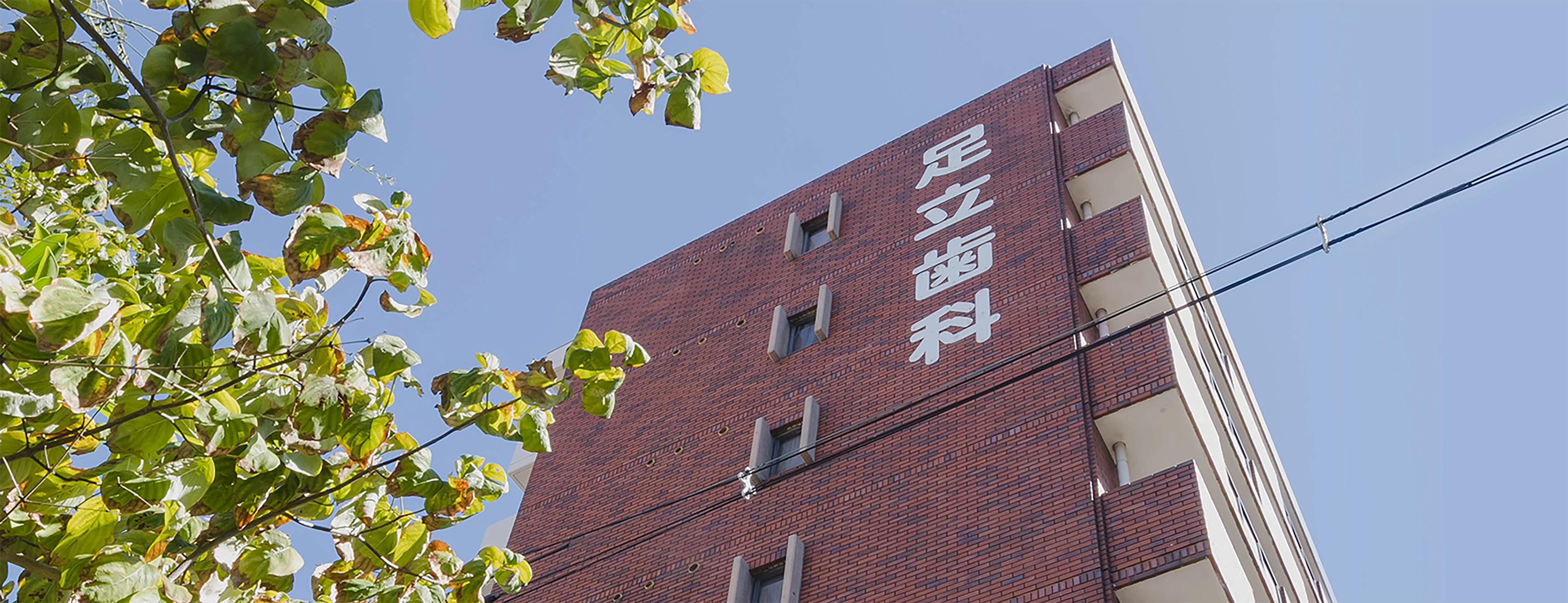 当院についてのメインビジュアル