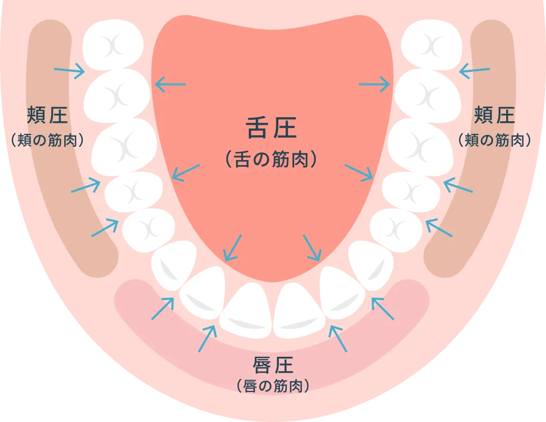 歯周病治療