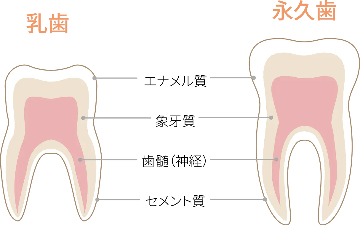 むし歯菌から乳歯を守り、強い歯を育てる習慣づくり